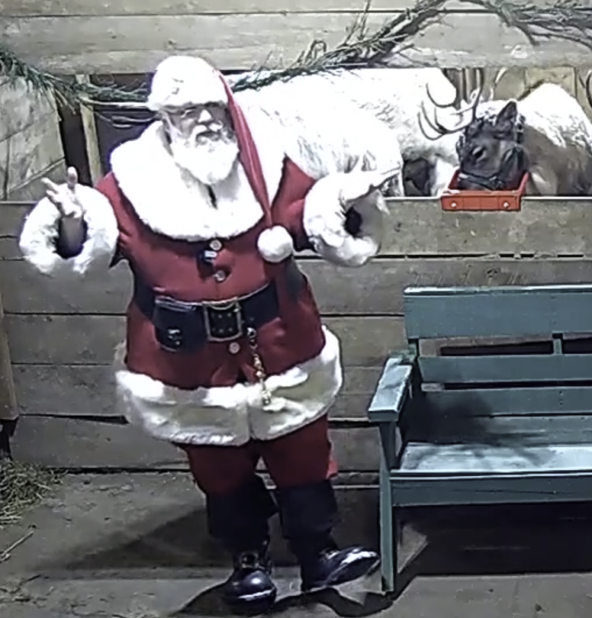 Santa in red suit standing with arms open in front of reindeer eating from trough